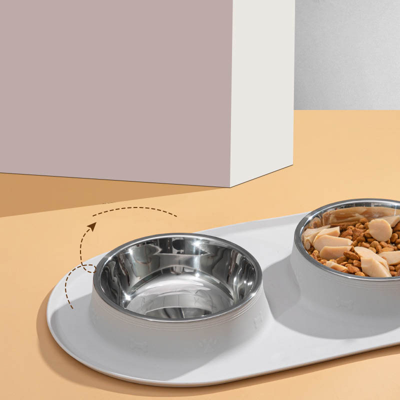 custom dog bowl